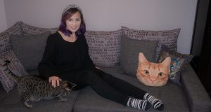 Auf der Couch mit Katzen